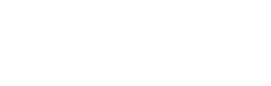 Village On Morehead